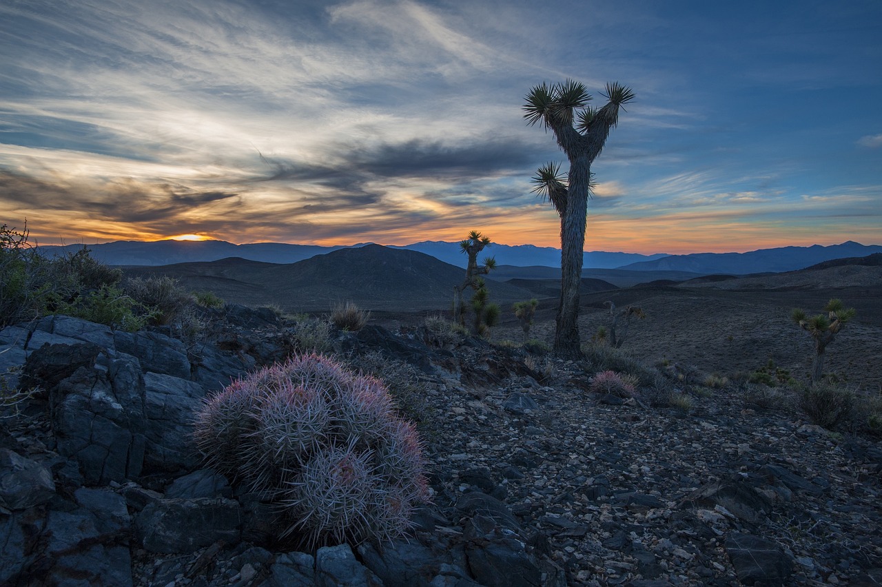 Discovering the Majestic Peaks of the Sierra Nevada